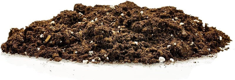 GARDENERA Premium Dracaena Potting Soil Mix - (1 Quart Bag) - Image 4